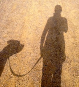 Our shadows were fun on our favorite walking path yesterday.
