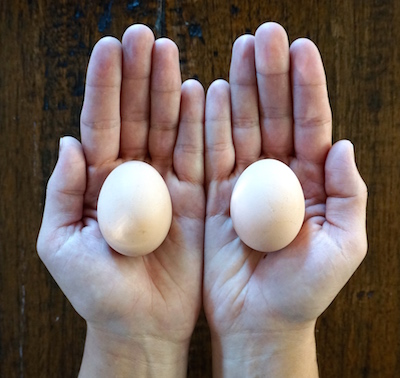 Hands and Eggs