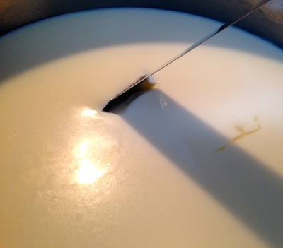 This is called a "clean break", when the curds are set.  Now it's ready to be sliced into 1/4" pieces in the pot.