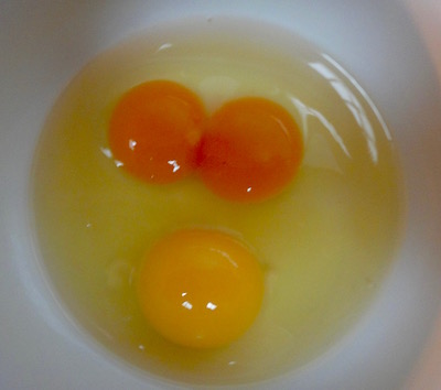 This was the last regular grocery store egg I ever bought and a double yolker from one of the girls.